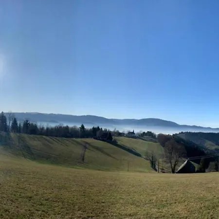 Sonnenblume Halblech