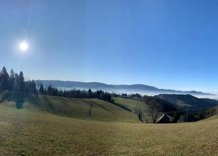 Sonnenblume Halblech